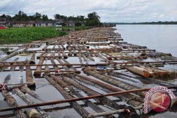 Produksi Kayu Bulat Barito Utara 40.543 M3