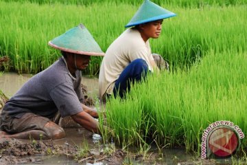 Ratusan Peserta Ikuti Pesta Petani Muda Indonesia 