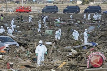 WHO: bencana nuklir Jepang untuk reformasi sistem kesehatan