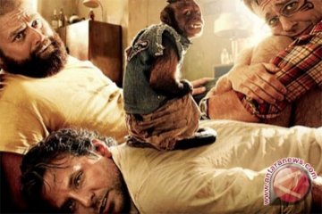 "Hangover II" Ditarik Karena Adegan Seksual Monyet