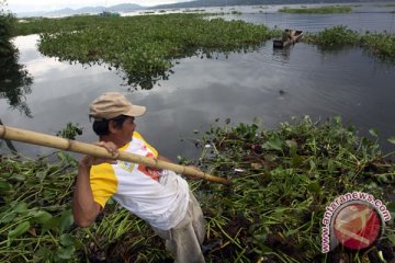 Tiga danau diduga tercemar e-coli