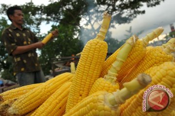 Warga serbu pasar tradisional di Lampung