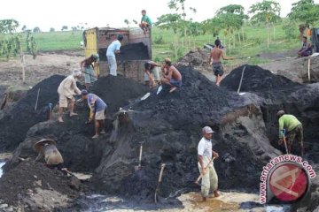 WWF: Hentikan penambangan di dekat lokasi konservasi