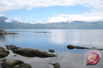 Ikan Koan Bersihkan Eceng Gondok Danau Kerinci