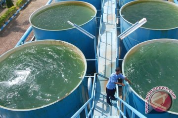 BPK : pemborosan air bersih telan Rp791 miliar