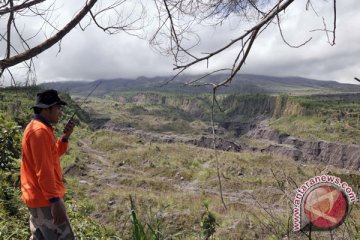 Ekosistem Gunung Merapi mulai pulih