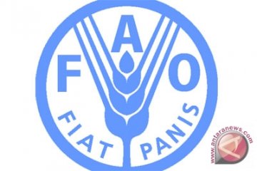 FAO sebut harga pangan dunia naik pada Januari