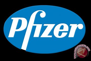 Pfizer Serahkan Kesimpulan Keterangan Tambahan ke Pengadilan 