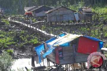 Bupati Mimika resmi cabut izin perkebunan sawit PT PAL