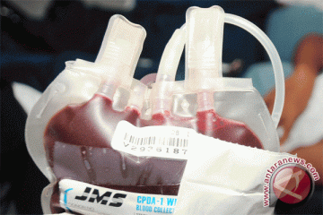 PMI Targetkan 290 Ribu Kantong Darah per Tahun