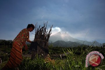 Masyarakat Lereng Merapi Boleh Manfaatkan Lahan