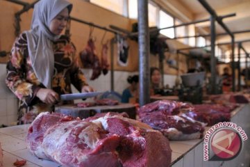 Waykanan Targetkan Swasembada Daging Sapi 