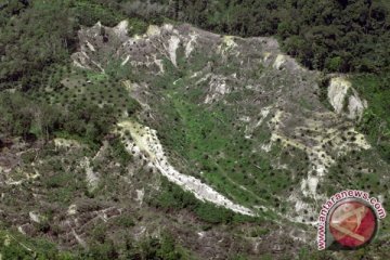 Laju Kerusakan Hutan Capai 0,7 Juta Hektar