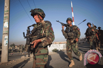 34 gerilyawan Taliban tewas dalam serangan di Afghanistan