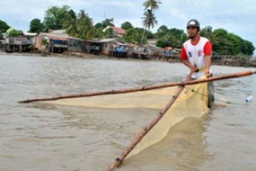 Sondong  Udang Tanjungpinang