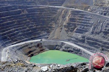 DPR panggil menkeu terkait divestasi Newmont