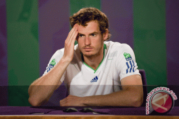 Andy Murray galau