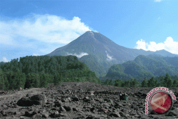 Penggunaan Pupuk Organik di Gunung Kidul Rendah