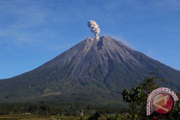 Bahaya, jalur pendakian ke Semeru ditutup