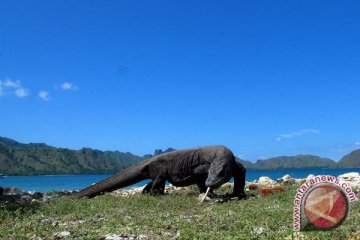 Api SEA Games keliling Pulau Komodo 