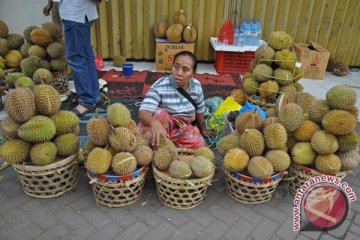 Pedagang Sambut "Gemar Buah Indonesia"