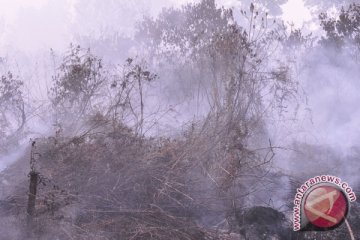Kerugian ekologis kebakaran lahan oleh perusahaan Malaysia Rp15,7 miliar