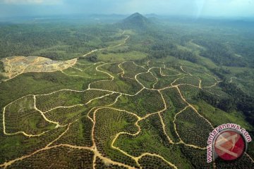 ICOPE 3 fokus bahas konservasi hutan