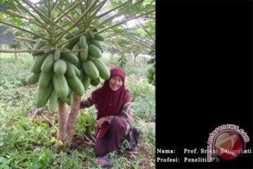 Sriani Mengangkat Buah Lokal Untuk Sejahterakan Petani 