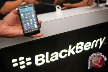 Blackberry anggap investasi Indonesia kalah dengan Malaysia 