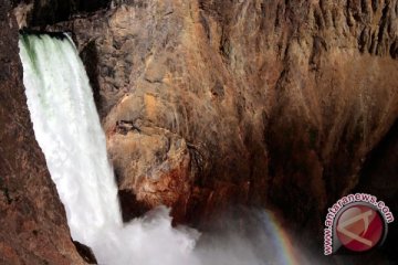 Virus jangkiti 200 orang di Yellowstone dan Grand Teton