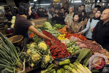 Tenaga ahli muda Jepang kampanye makan sayur