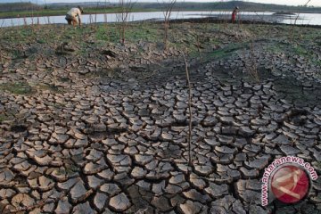 Kekeringan di Lebak tak berdampak rawan pangan 