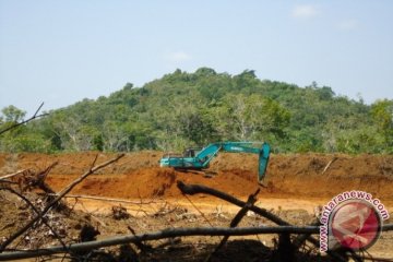 Konservasi hutan lindung Ketapang terancam eksplorasi pertambangan 
