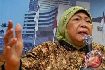 Lily Wahid ingatkan kerukunan harus diperkuat pada tahun politik