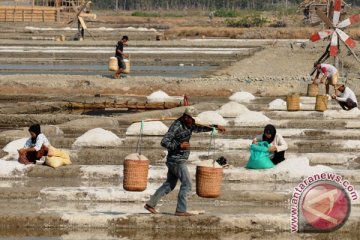 Petani minta dilibatkan soal kebijakan garam impor