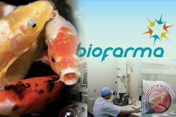 Koi dalam asuhan resep Bio Farma
