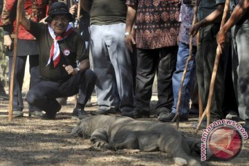 Kalla kampanye dukungan Komodo di Makassar 