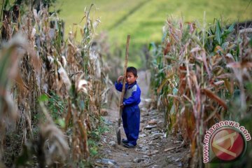PBB suarakan kekhawatiran tentang krisis pangan di Korea Utara