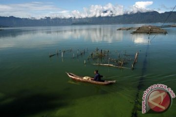 "Blooming fitoplankton" ancam ikan di Danau Maninjau 