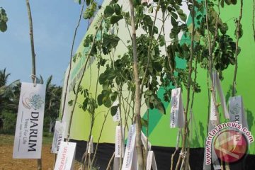 58 sekolah di Yogyakarta jadi "Green School" 