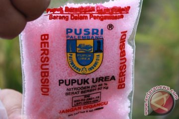 Petrokimia diminta sosialisasikan perubahan warna pupuk urea