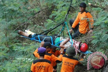 Tertimpa pohon,seorang wisatawan di Kaliurang-Yogyakarta meninggal dunia