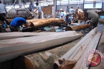 Asosiasi harapkan jasa keuangan dukung pembiayaan ekspor kayu