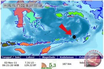 Gempa 5,0 SR guncang Kota Saumlaki 