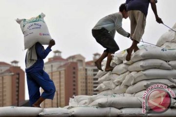 10.000 ton beras impor asal India sudah masuk Belawan