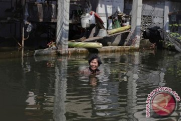 Korban tewas banjir Thailand jadi 621 orang