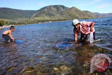 450.000 ikan ditabur di Danau Toba