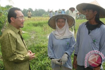 Petani perlu optimalkan lahan telantar