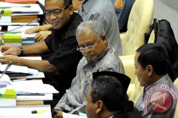 Pemerintah selalu perhatikan Papua