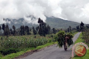 Pengukuran deformasi Gunung Sindoro terkendala cuaca 